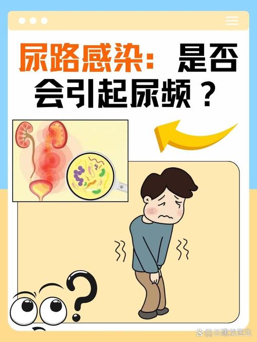 上尿路感染与下尿路感染的区别