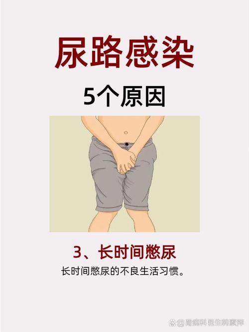 上尿路感染与下尿路感染的区别